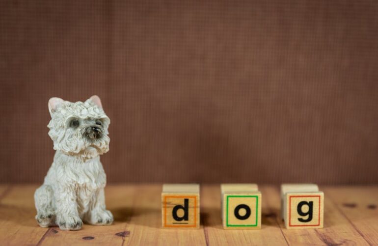 Native Ads Vs Display Ads Mastering The Best Ad Strategy